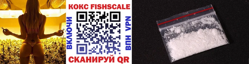 Cocaine FishScale  купить  цена  Верхняя Тура 