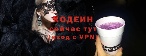 apvp Вяземский