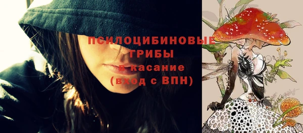 первитин Володарск