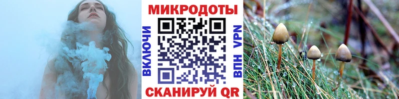 Псилоцибиновые грибы Cubensis  Верхняя Тура 